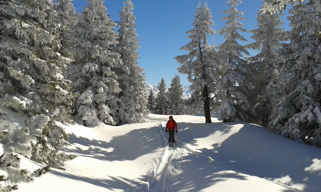 Sonnenhaus Sander シュルンス エクステリア 写真
